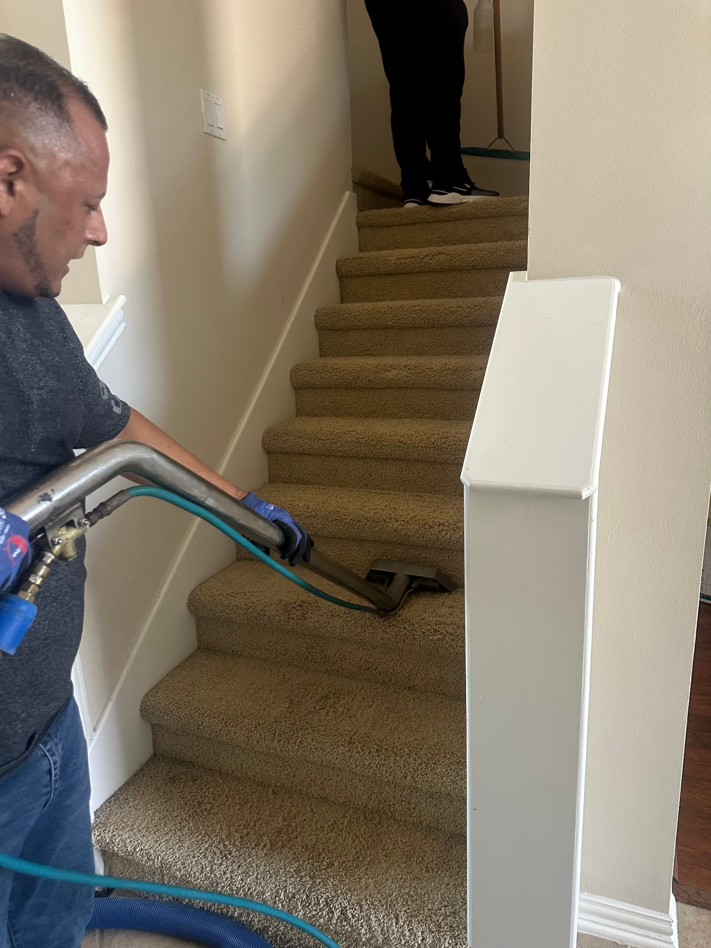 Carpet Cleaning & Restoration