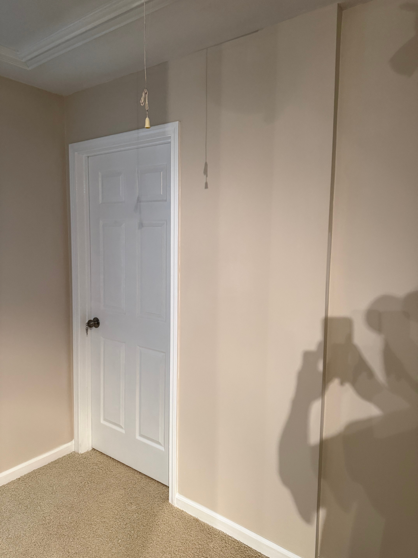 Interior Repaint & Finish